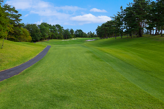 比叡5番コース写真