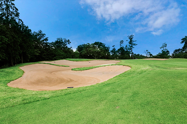 比叡7番コース写真