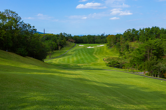 比叡8番コース写真