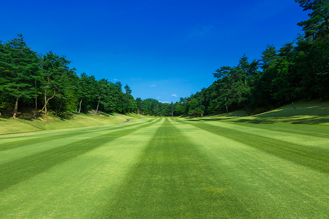 鈴鹿1番コース写真