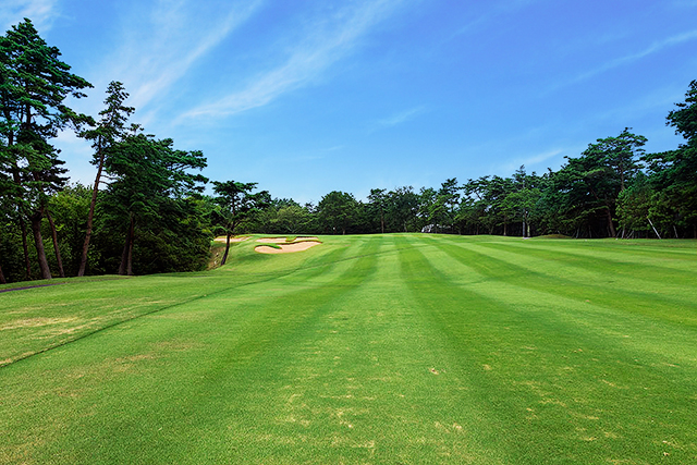 鈴鹿8番コース写真